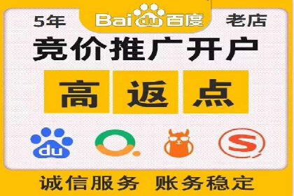 百度竞价排名实战：某行业领先企业的成功之路